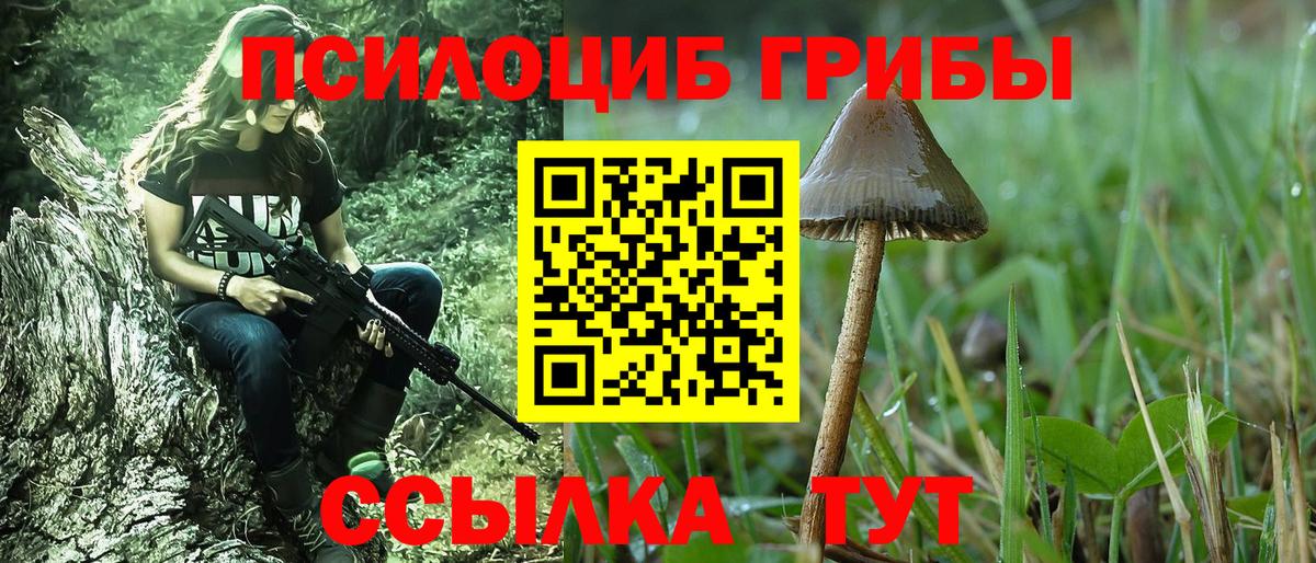 Псилоцибиновые грибы мухоморы  Псилоцибиновые грибы мухоморы  как найти закладки  Коммунар  Вход с VPN 