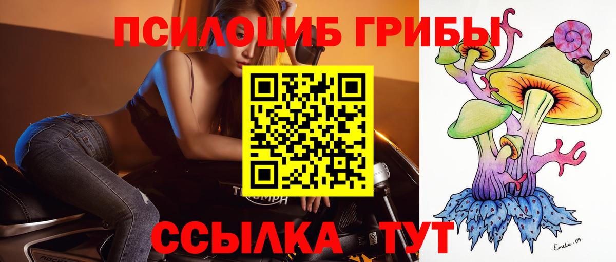 Псилоцибиновые грибы Magic Shrooms Коммунар